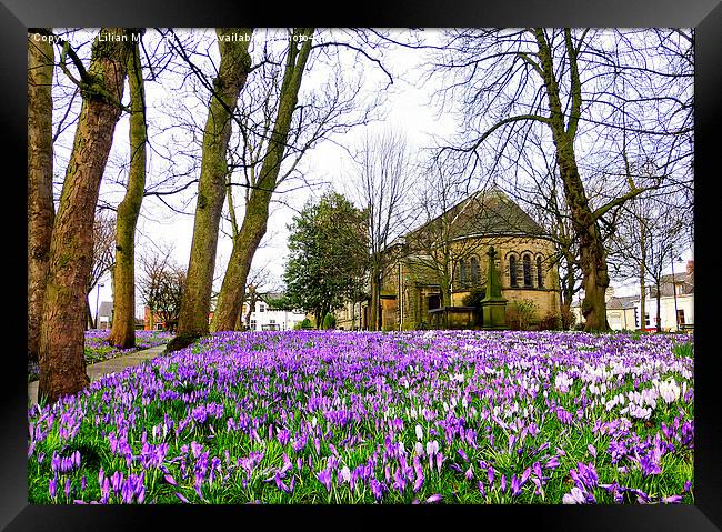  Springtime at St Chads. Framed Print by Lilian Marshall