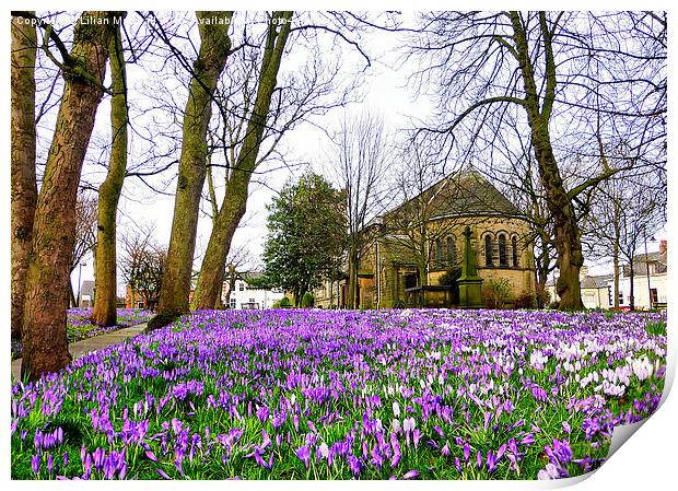  Springtime at St Chads. Print by Lilian Marshall