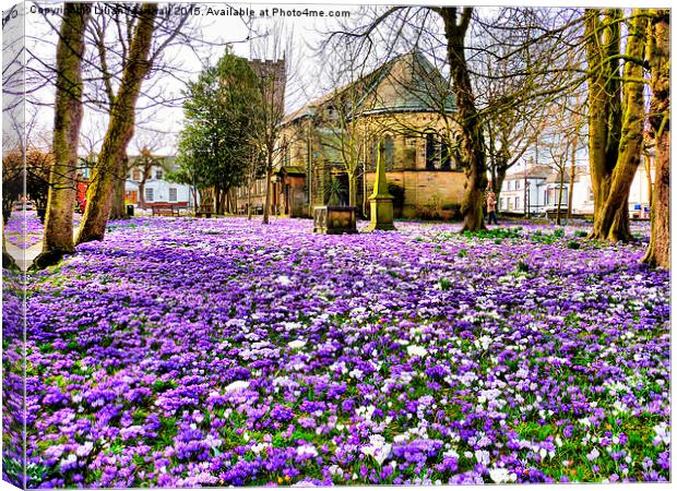  St Chads in Bloom. Canvas Print by Lilian Marshall