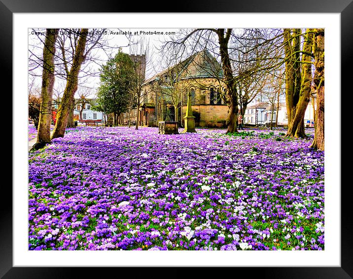  St Chads in Bloom. Framed Mounted Print by Lilian Marshall