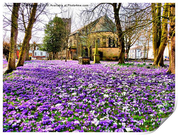  St Chads in Bloom. Print by Lilian Marshall