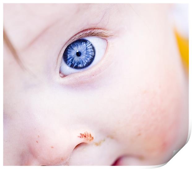 Cheeky blue eye Print by Gabor Pozsgai