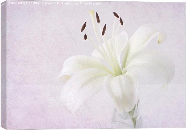  Lily Canvas Print by Fine art by Rina