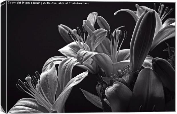  Floral display B&W Canvas Print by tom downing