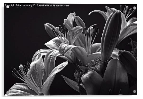  Floral display B&W Acrylic by tom downing