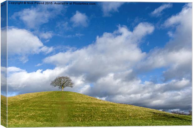 Burrow Hill Canvas Print by Nick Pound