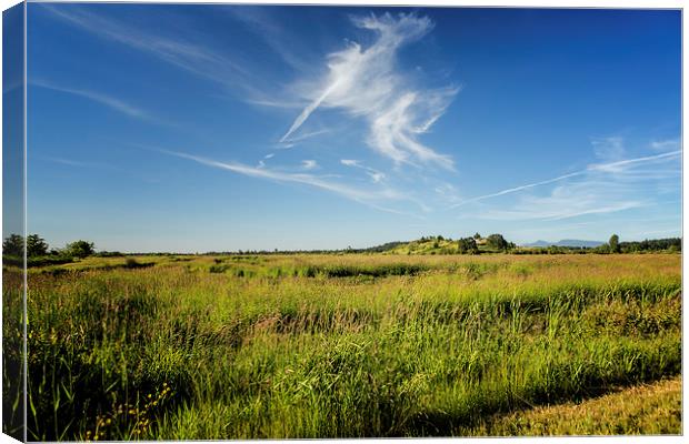  Dancer in the Sky Canvas Print by Belinda Greb