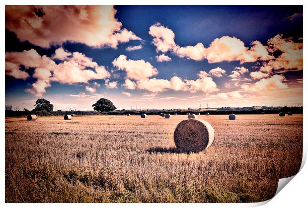 Baled Out Print by Steve Purnell
