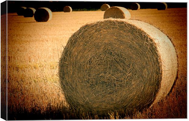 Baled Out 2 Canvas Print by Steve Purnell