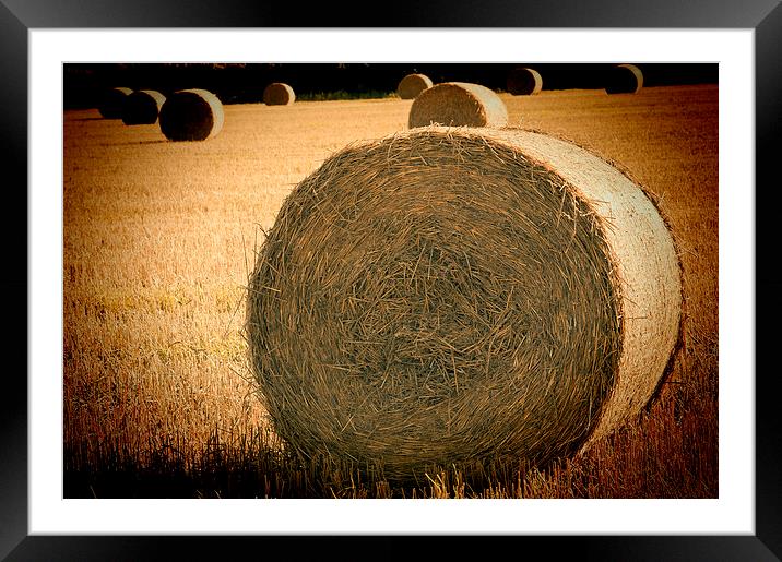 Baled Out 2 Framed Mounted Print by Steve Purnell
