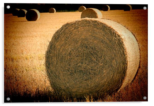Baled Out 2 Acrylic by Steve Purnell