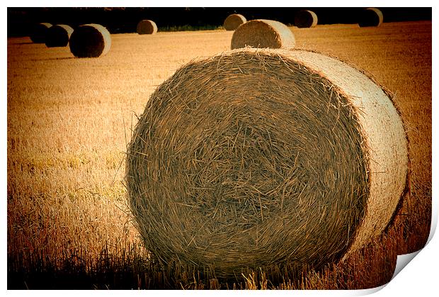 Baled Out 2 Print by Steve Purnell