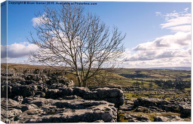  View over Malham Cove 2 Canvas Print by Brian Garner