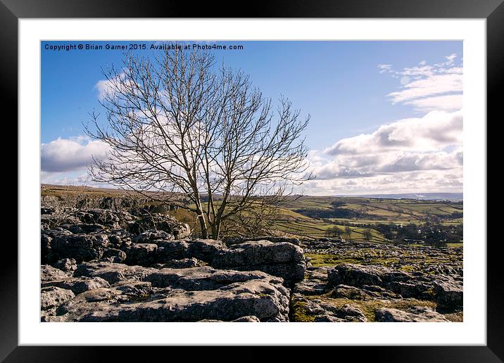  View over Malham Cove 2 Framed Mounted Print by Brian Garner