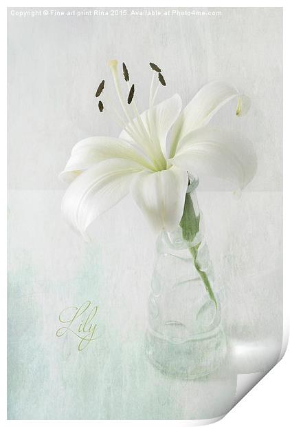  Lily Print by Fine art by Rina