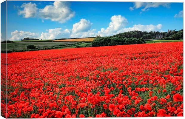  Norfolk Poppies Canvas Print by Broadland Photography