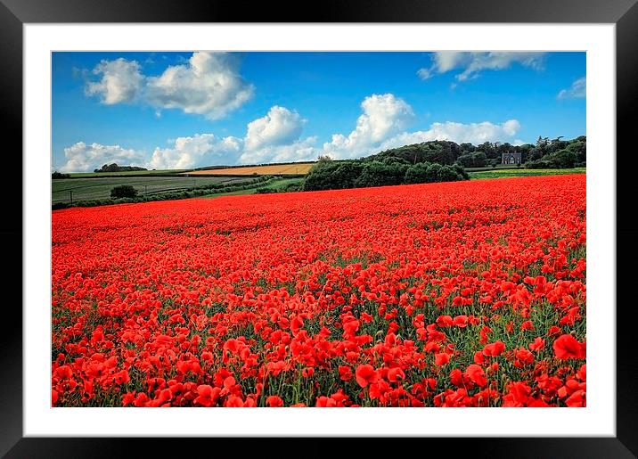  Norfolk Poppies Framed Mounted Print by Broadland Photography