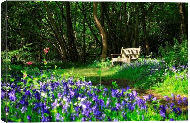  Bluebell Bench Canvas Print by Broadland Photography