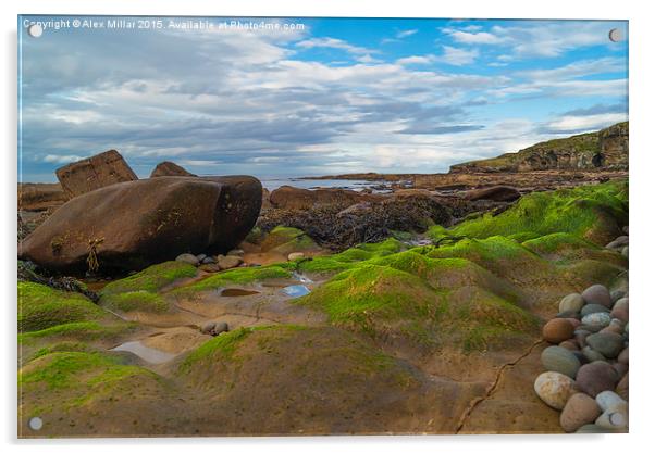  Green Furry Rocks Acrylic by Alex Millar