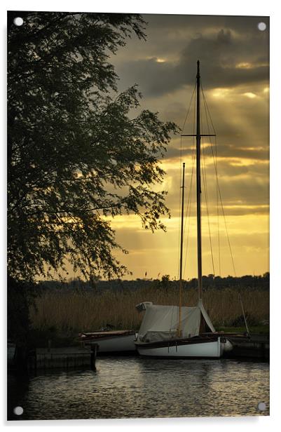 Yacht sunset Acrylic by Stephen Mole