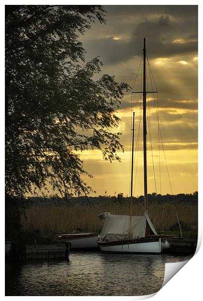 Yacht sunset Print by Stephen Mole
