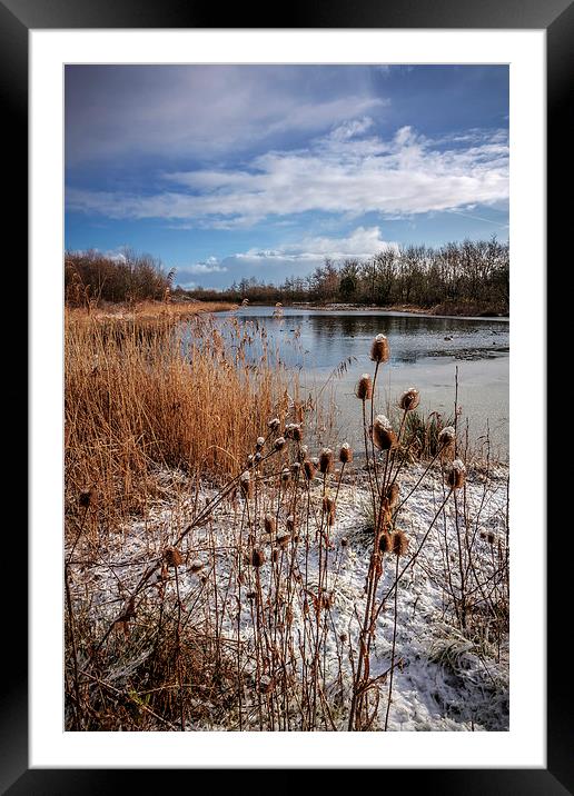 Frozen Serenity Framed Mounted Print by P D