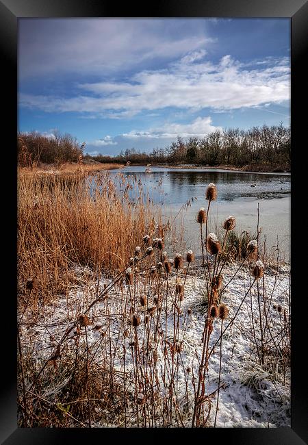 Frozen Serenity Framed Print by P D