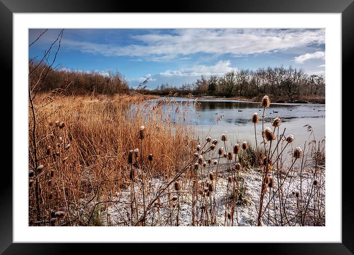 Frozen Wonderland at Waters Edge Framed Mounted Print by P D