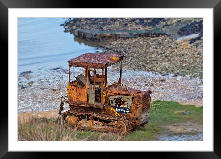 In Need of TLC Framed Mounted Print by David Hollingworth