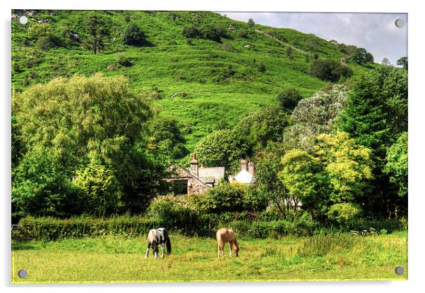 Horses in Eskdale Acrylic by Tom Gomez