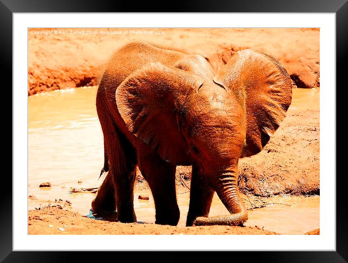  Young elephant playing alone Framed Mounted Print by Karl Tullett