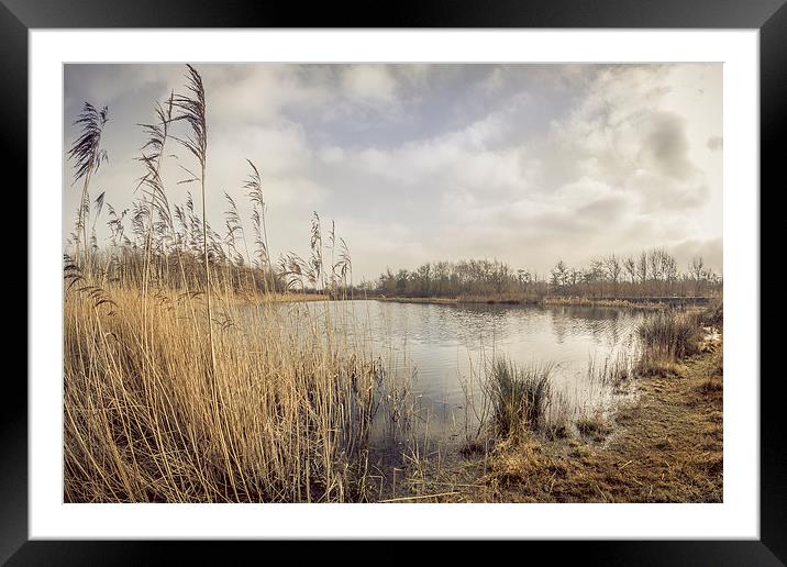 Serenity at Waters Edge Framed Mounted Print by P D
