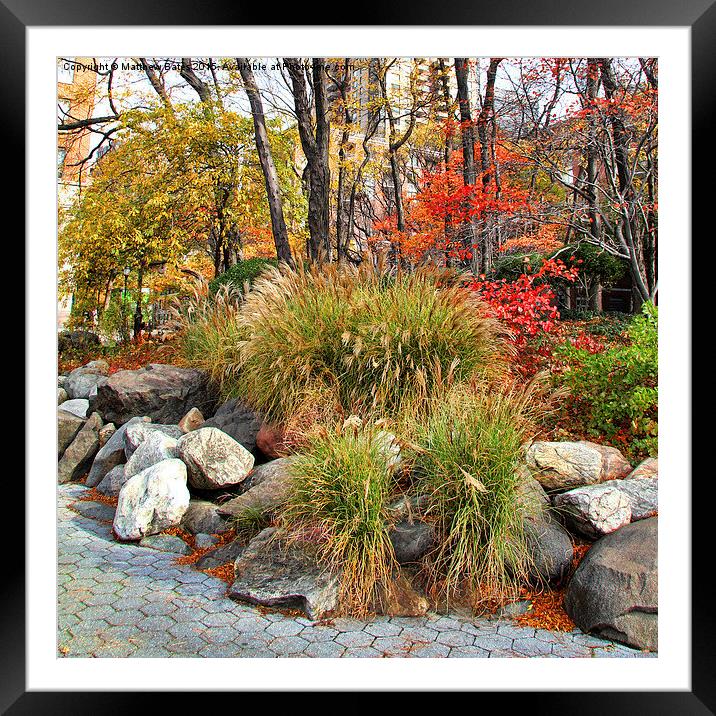 Autumnal flower bed Framed Mounted Print by Matthew Bates