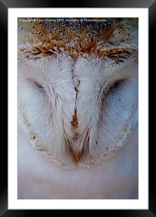  Feathered Eyes Framed Mounted Print by Zena Clothier