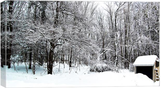 Recent Snow  Canvas Print by james balzano, jr.