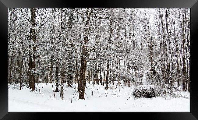  Recent Snow 2 Framed Print by james balzano, jr.