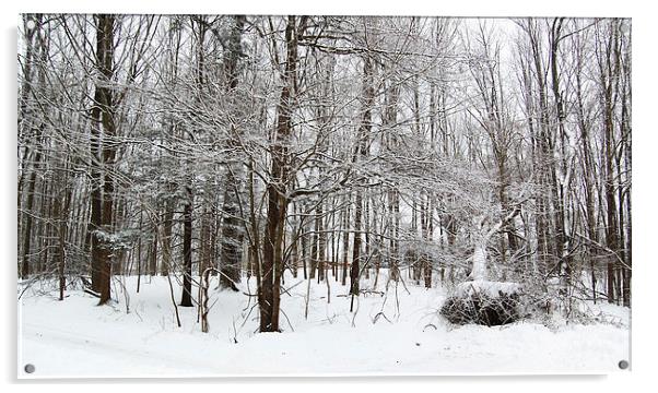  Recent Snow 2 Acrylic by james balzano, jr.
