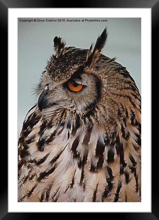 The Wise Owl Framed Mounted Print by Zena Clothier