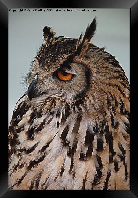 The Wise Owl Framed Print by Zena Clothier