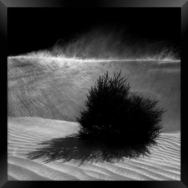  Sand Storm Framed Print by Julian Cook