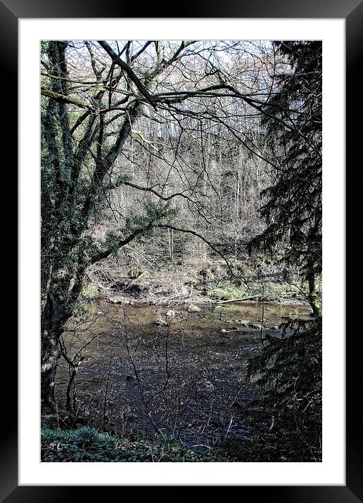 Across the River Almond Framed Mounted Print by Tom Gomez