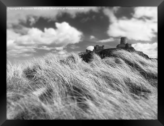  Bamburgh Castle Framed Print by Suzanne Whaley