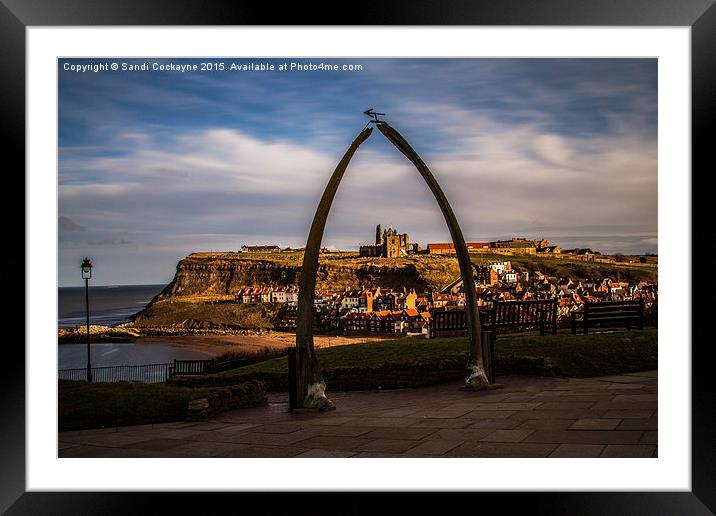  Whale Bones At Whitby Framed Mounted Print by Sandi-Cockayne ADPS