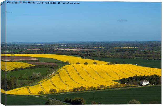 Yellow fields Berkshire Downs Canvas Print by Jim Hellier