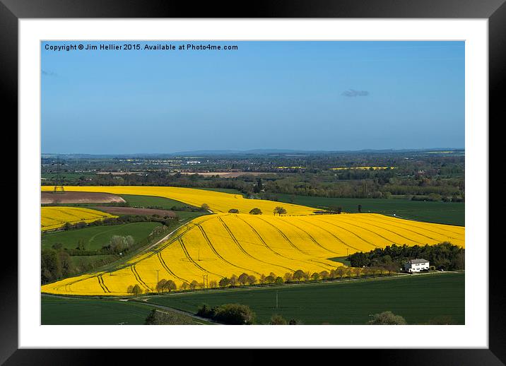 Yellow fields Berkshire Downs Framed Mounted Print by Jim Hellier
