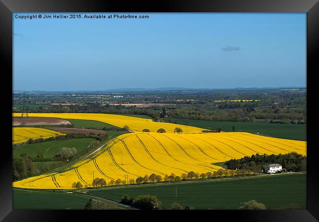 Yellow fields Berkshire Downs Framed Print by Jim Hellier