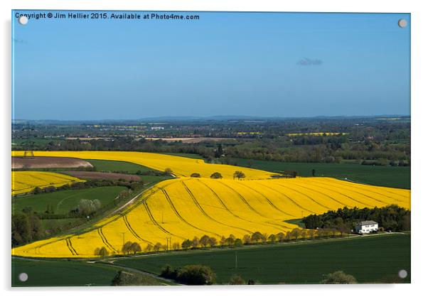 Yellow fields Berkshire Downs Acrylic by Jim Hellier
