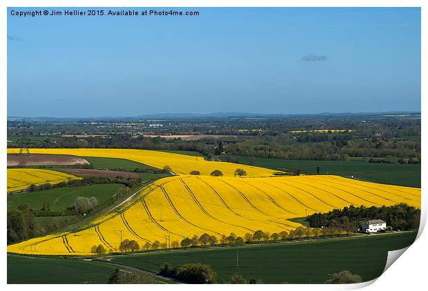 Yellow fields Berkshire Downs Print by Jim Hellier
