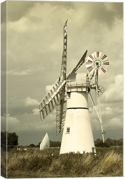 Thurne mill with a passing yacht Canvas Print by Stephen Mole