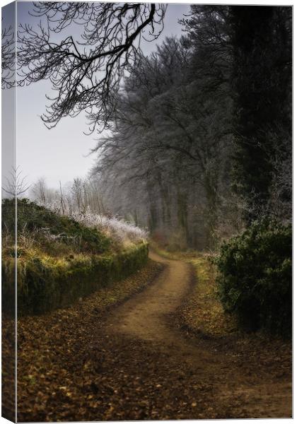 Winter Trail at Linacre Reservoir Canvas Print by Simon Gladwin